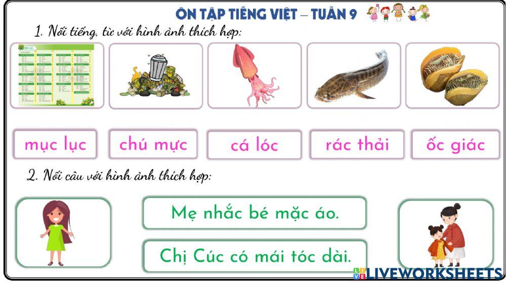 Phiếu Ôn tập đọc hiểu tuần 9