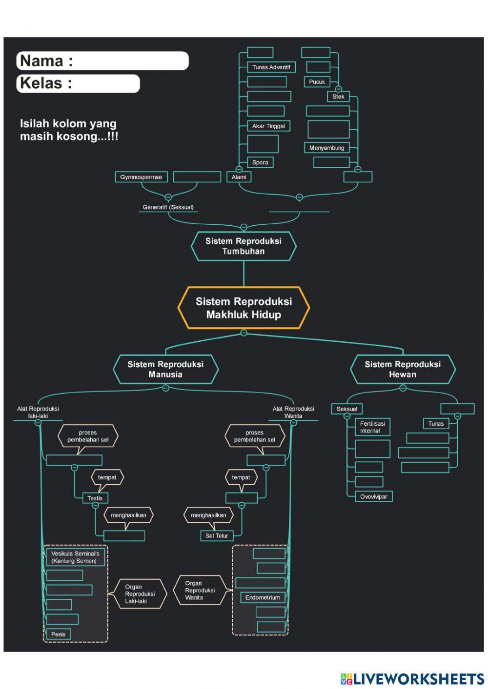 Peta Konsep Sistem Reproduksi MH