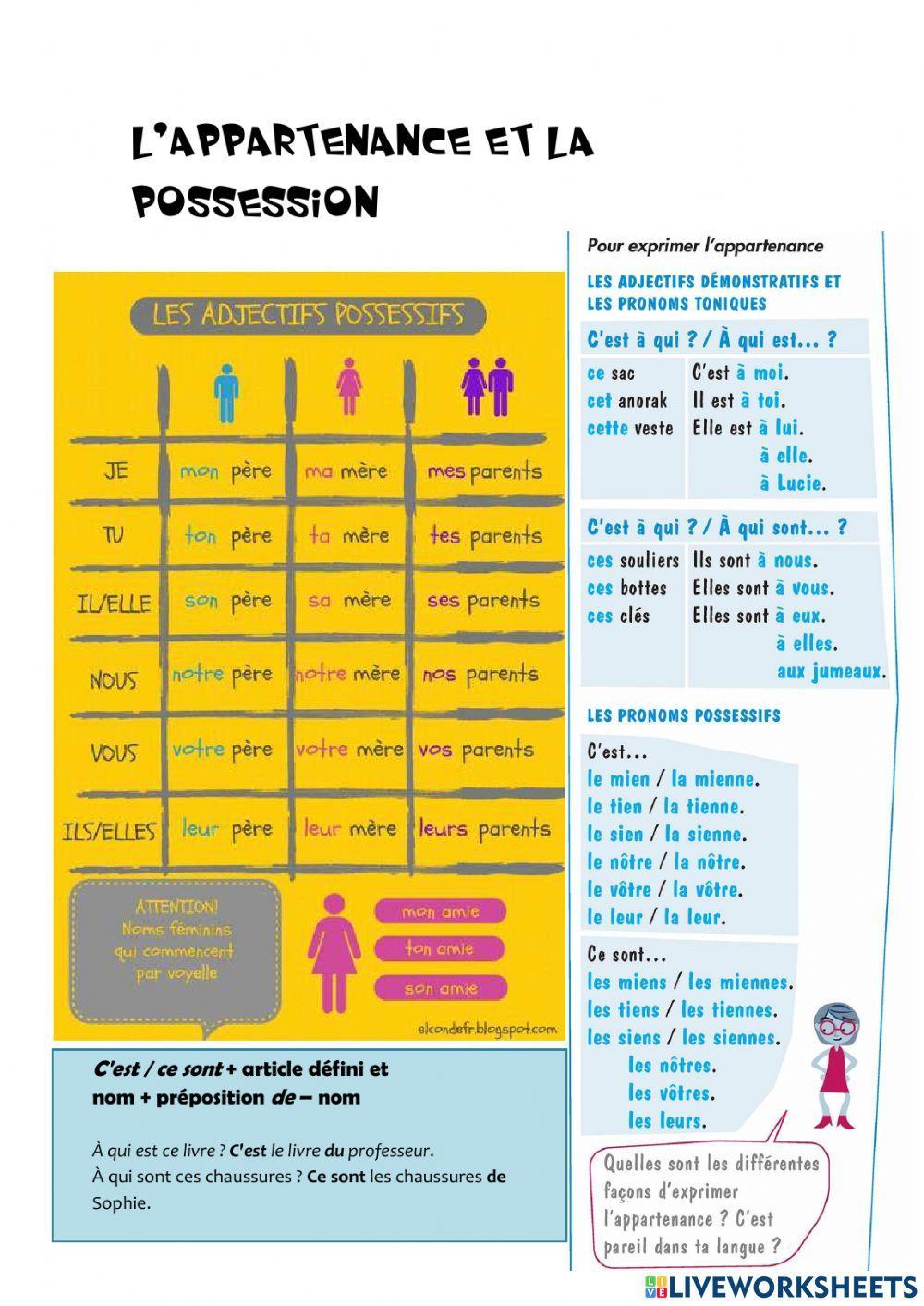 L'appartenance et la possession
