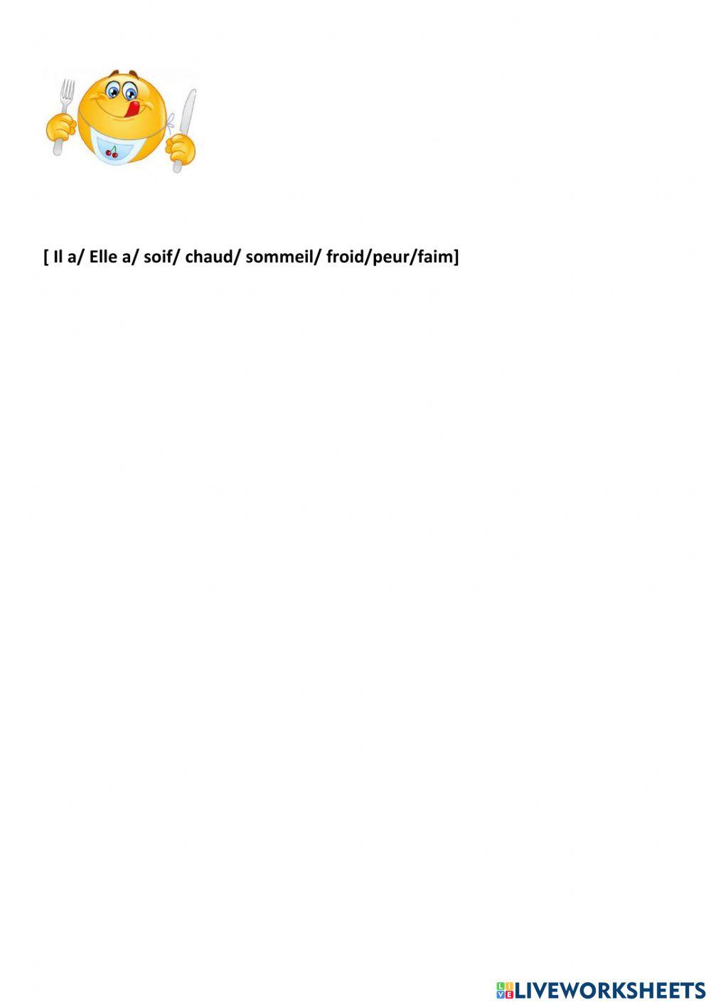 Le temps et les expressions avec AVOIR