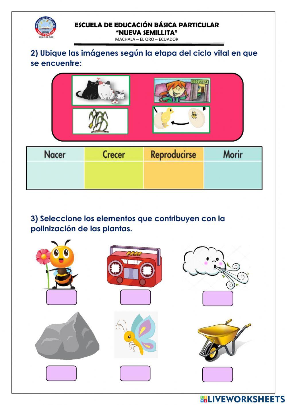 Evaluación de ciencias natturales
