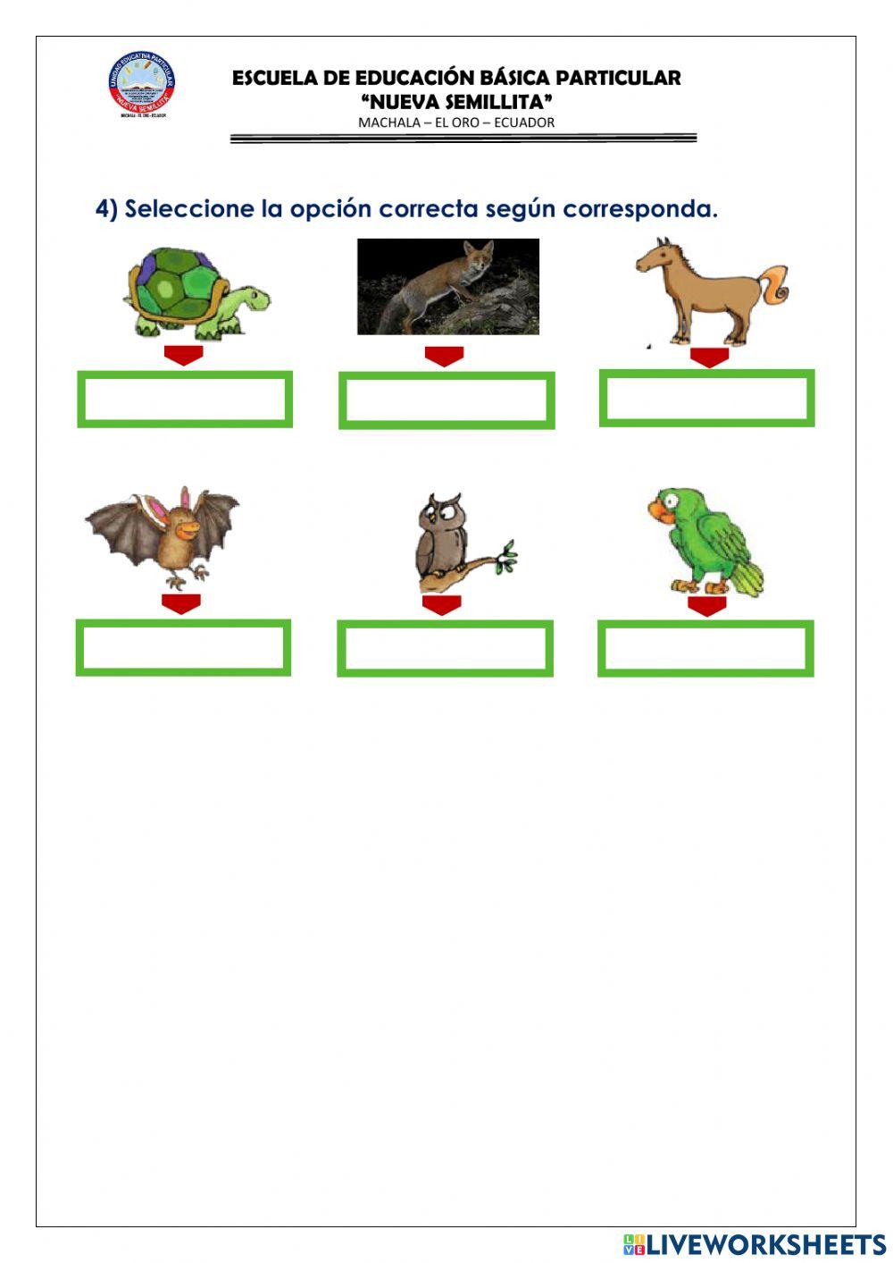 Evaluación de ciencias natturales