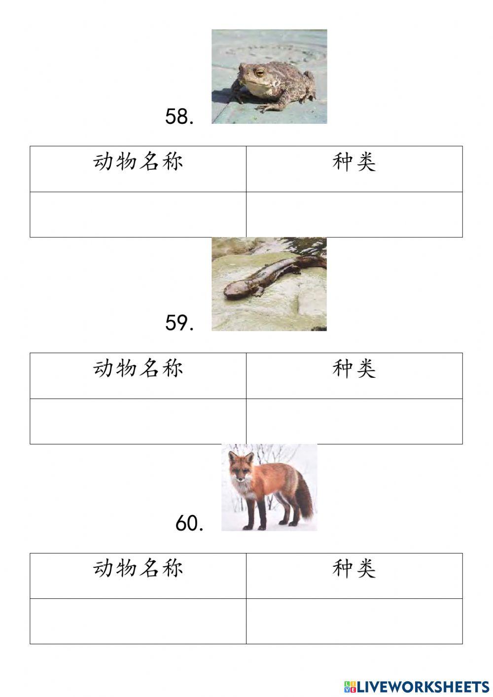 四年级科学 第三课动物3