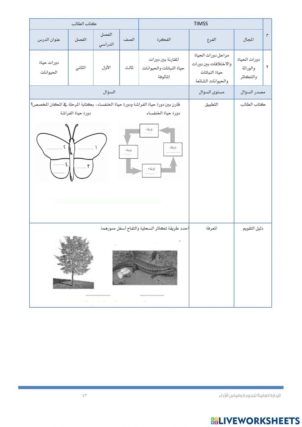 Timssدورة حياة الحيوانات
