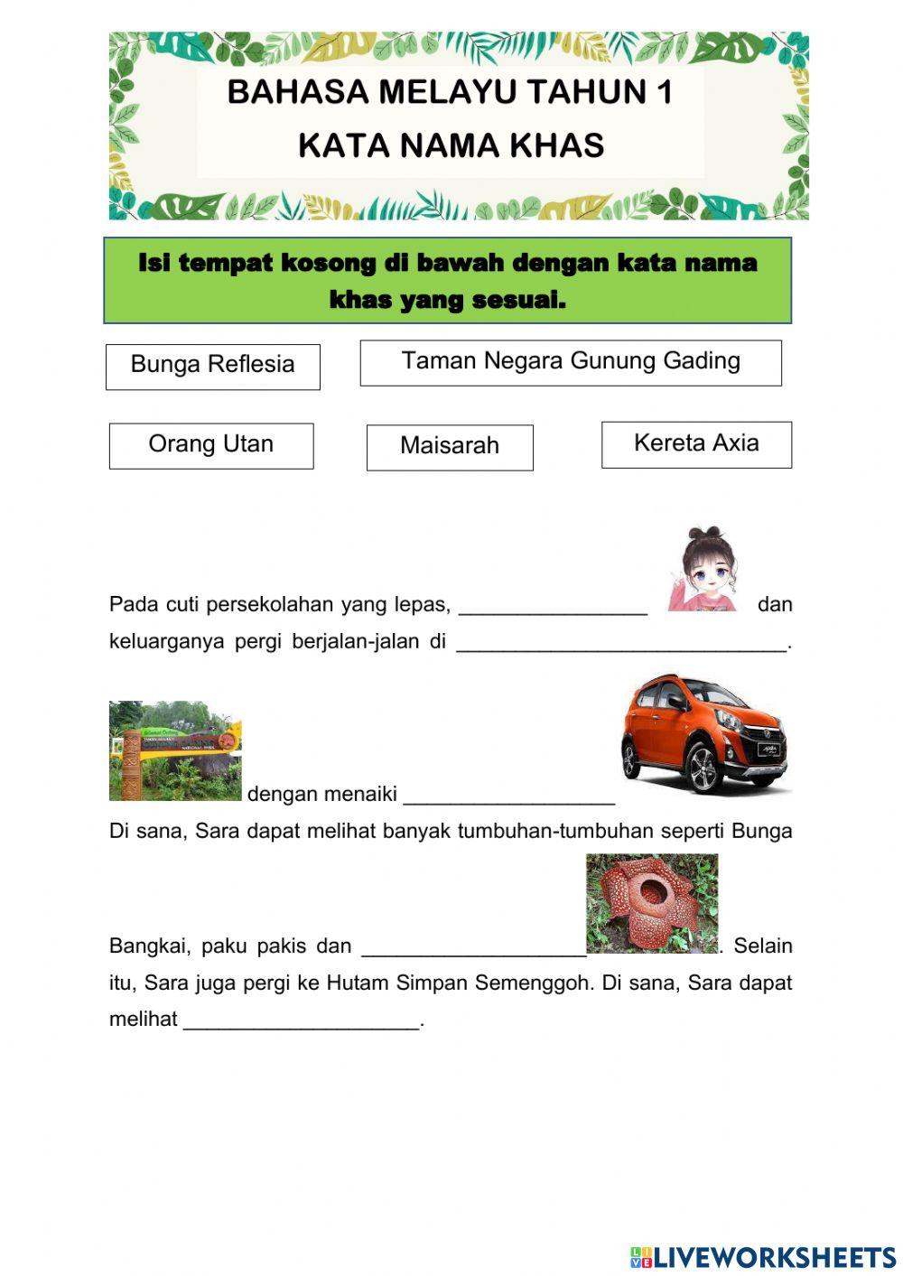 Flora dan Fauna di Borneo