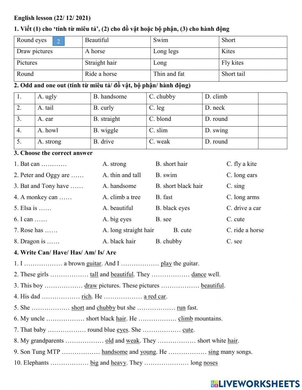 Group 3 - be can have