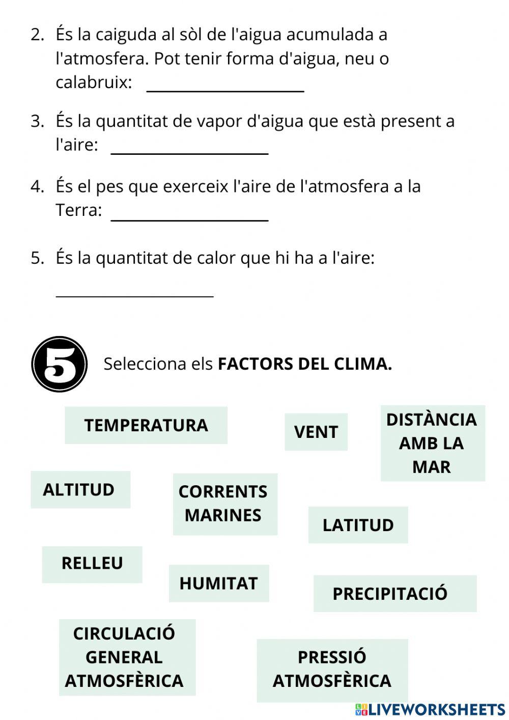 Examen tema 5