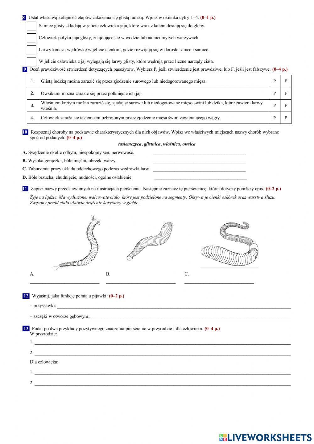 Od parzydełkowców do pierścienic