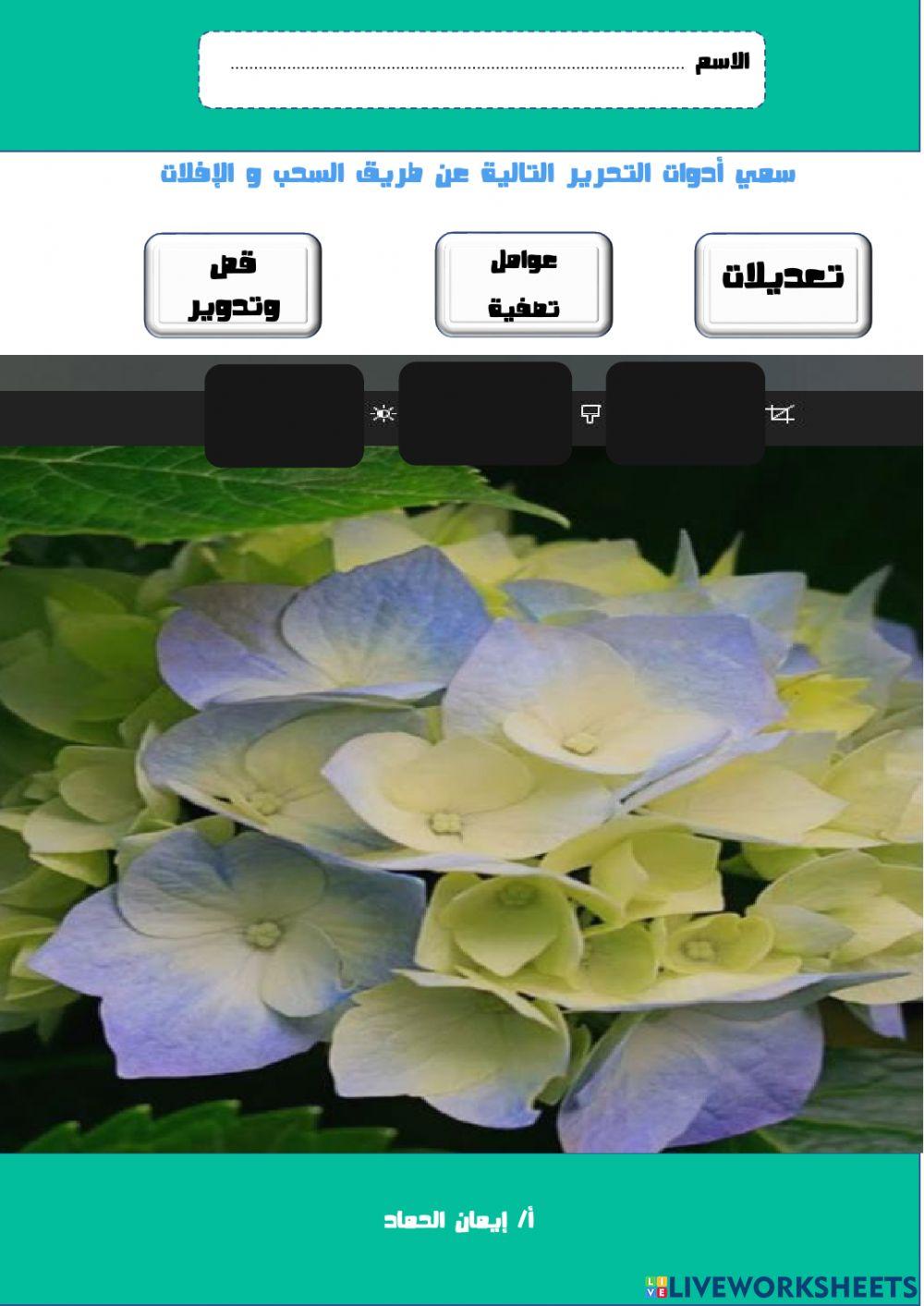 المهارات الرقمية