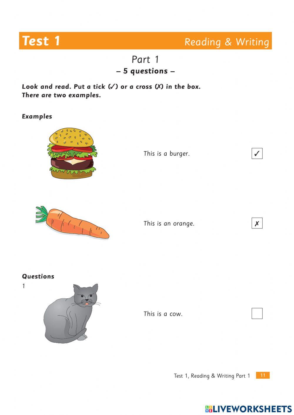 STARTERS PRACTICE TEST