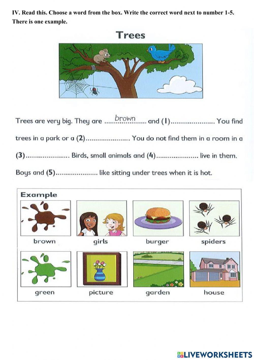 Bài tập starter 5