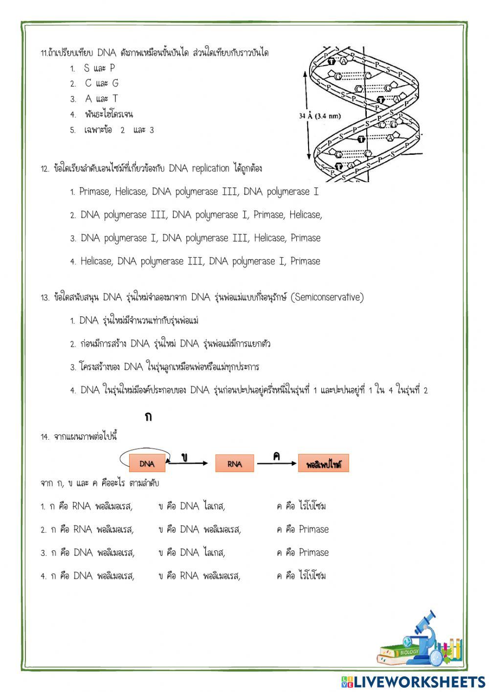 ข้อสอบ บทที่ 2 ยีนและโครโมโซม 
