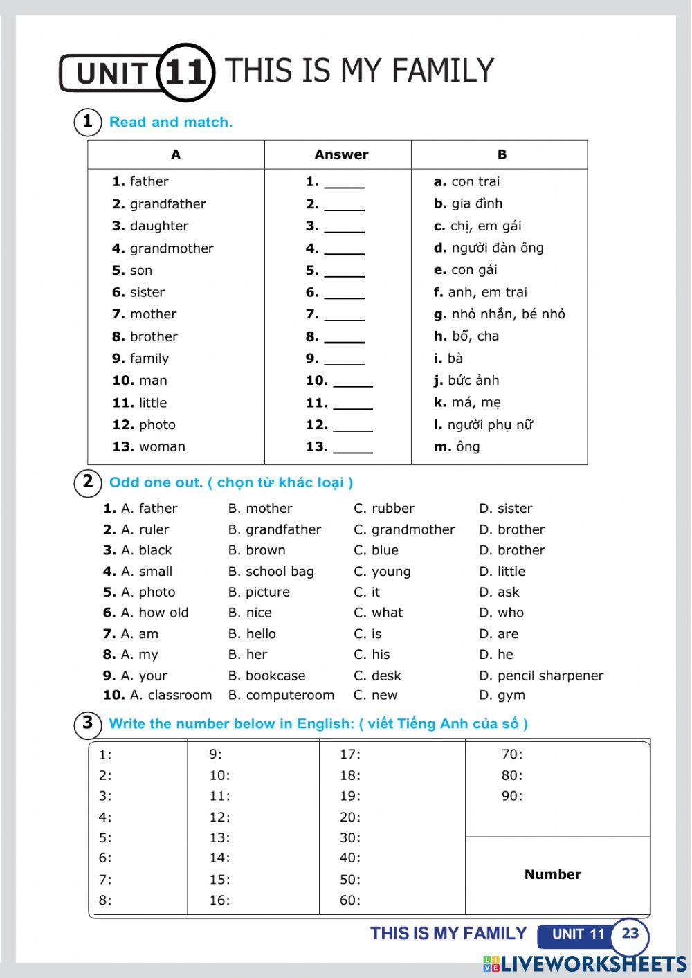 Unit 11 this is my family lesson 3