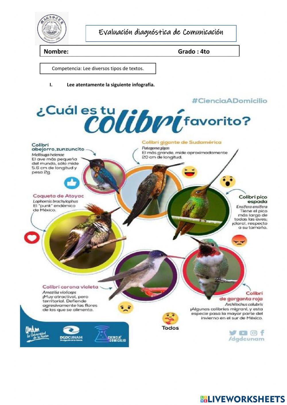 Evaluacion diagnostica COMU