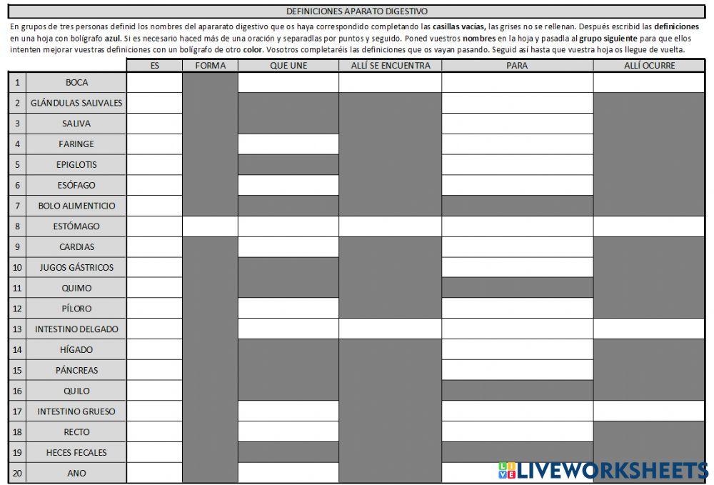 Definiciones sistema digestivo