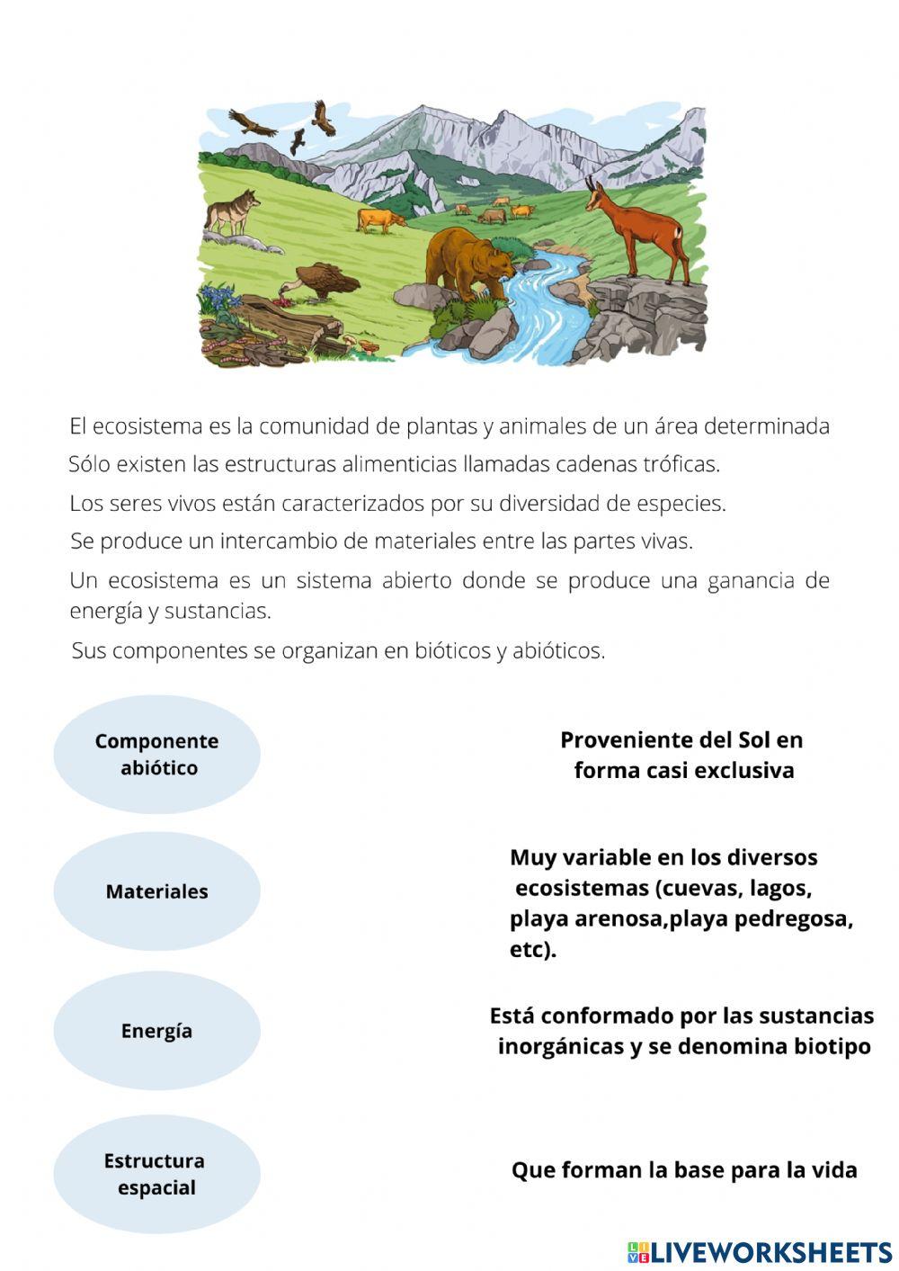 Los ecosistemas y componentes