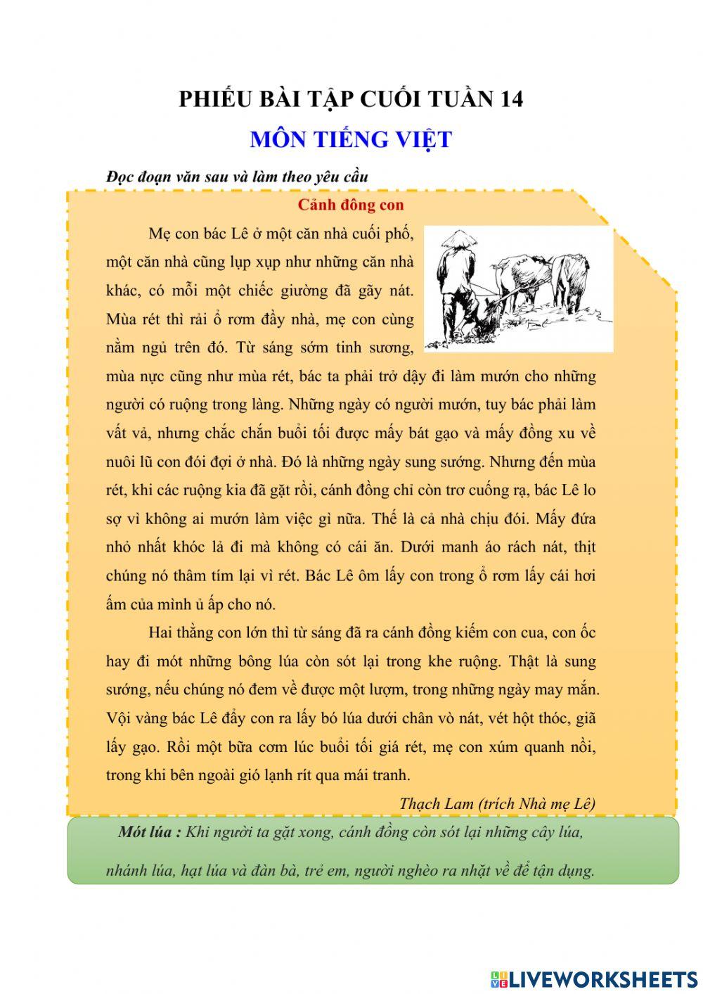 Bài tâp cuối tuần 14 môn TV