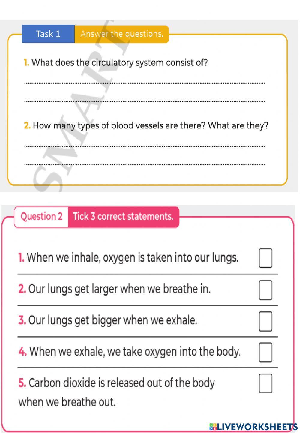 Revision for end of term 1