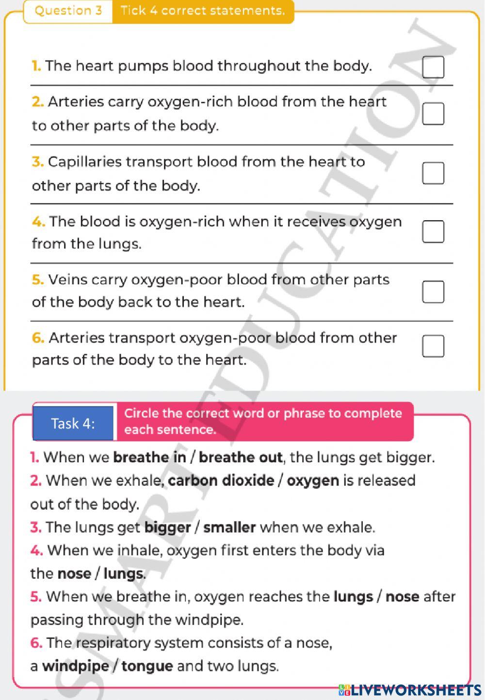 Revision for end of term 1