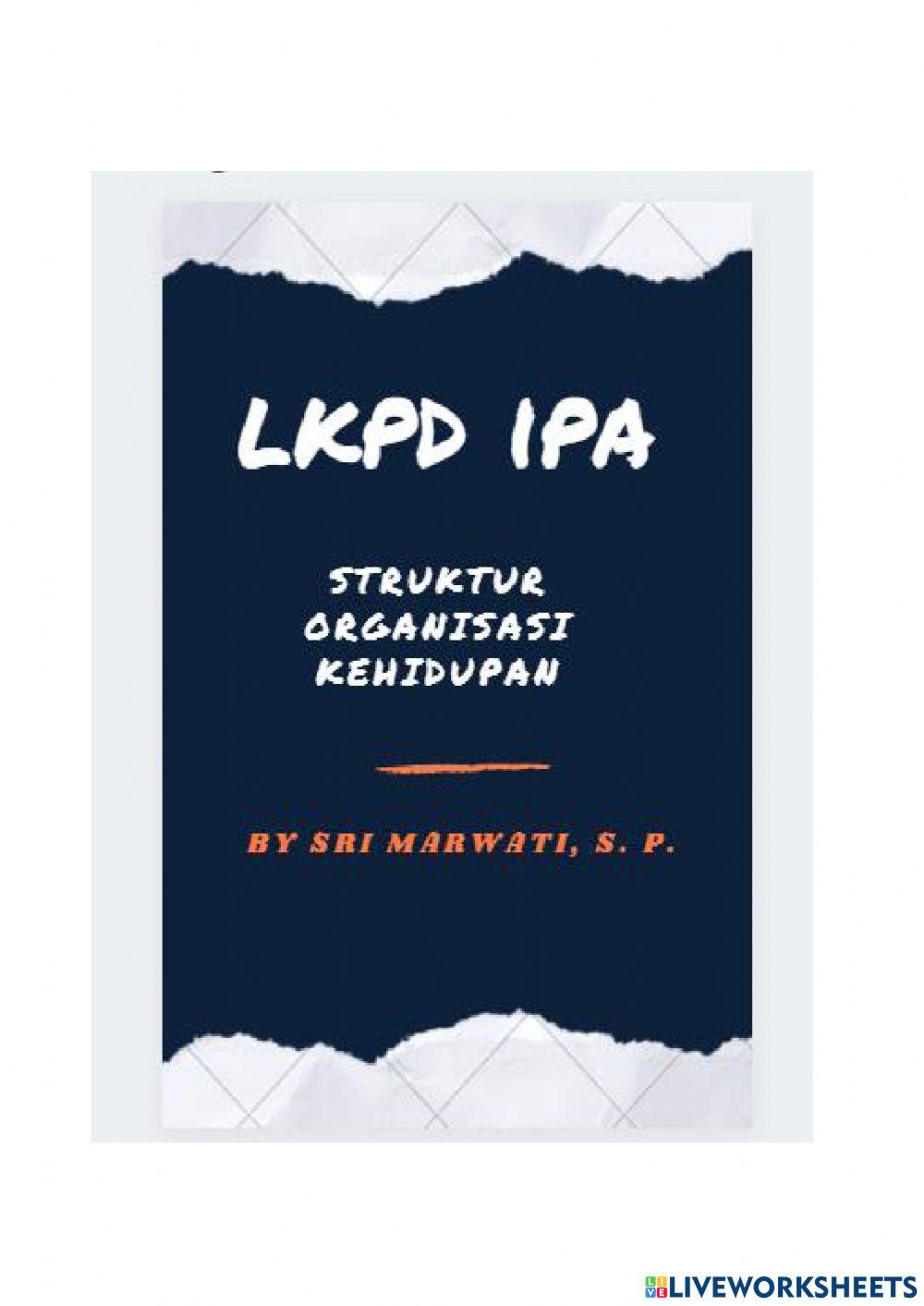 Struktur organisasi kehidupan