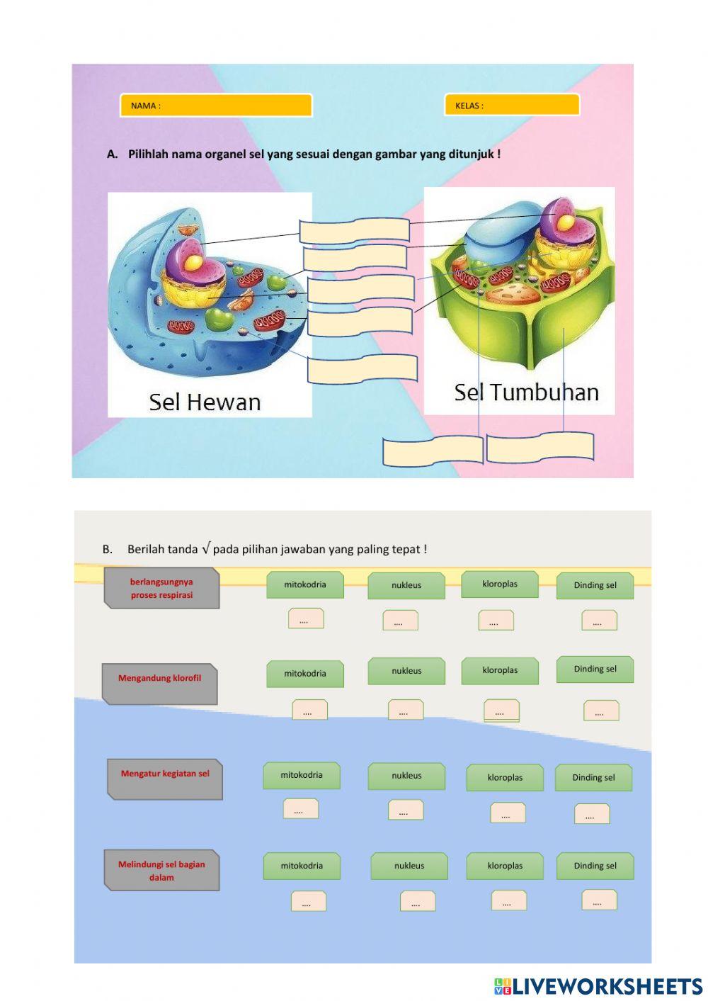 Struktur organisasi kehidupan