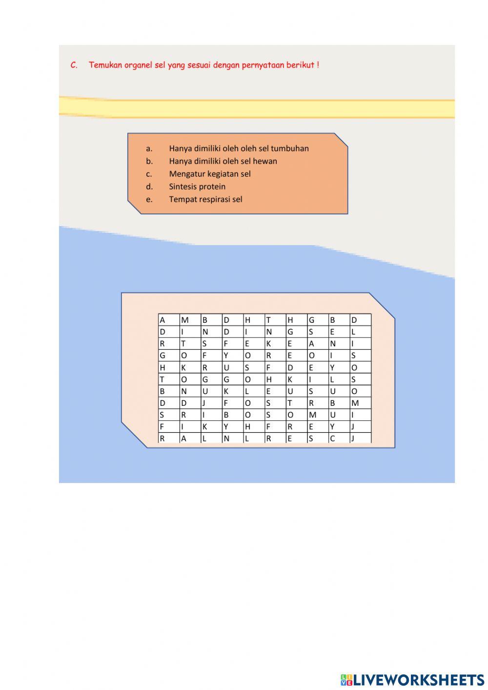 Struktur organisasi kehidupan