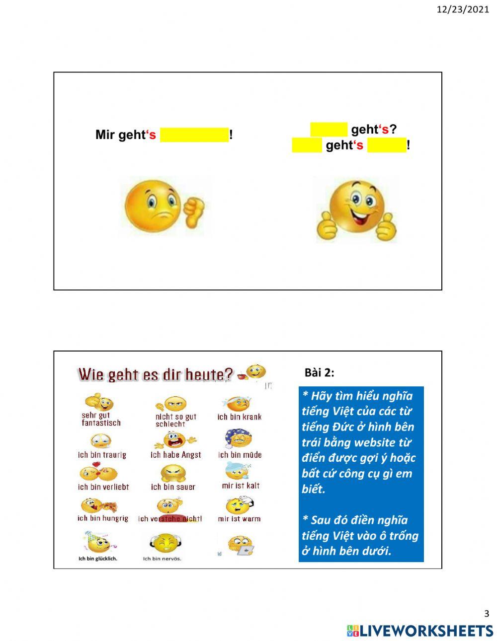 Phieu BT-6C-W13-Wie geht und Woeterbuch