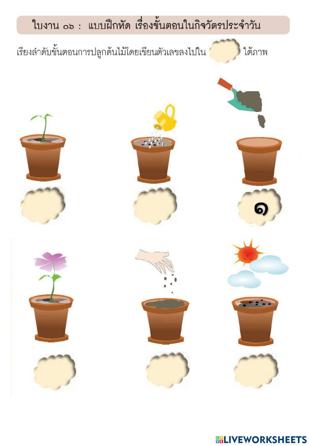 ขั้นตอนในกิจวัตรประจำวัน (2)