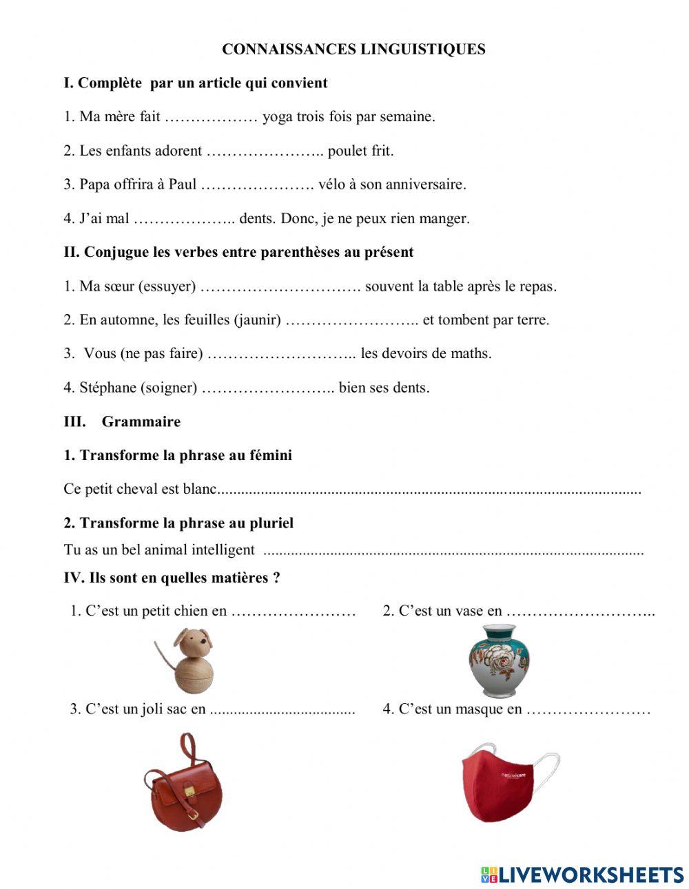 Connaissances de langue 24.12.2021