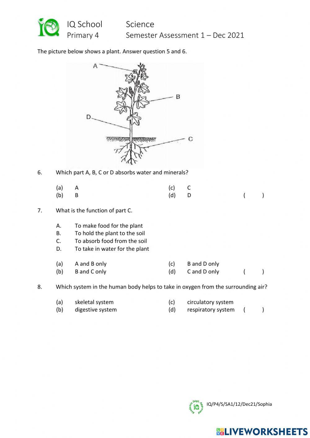 IQ-P4-S-SA1-Dec21-Sophia