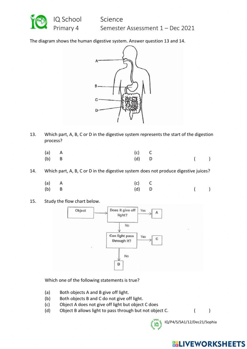 IQ-P4-S-SA1-Dec21-Sophia