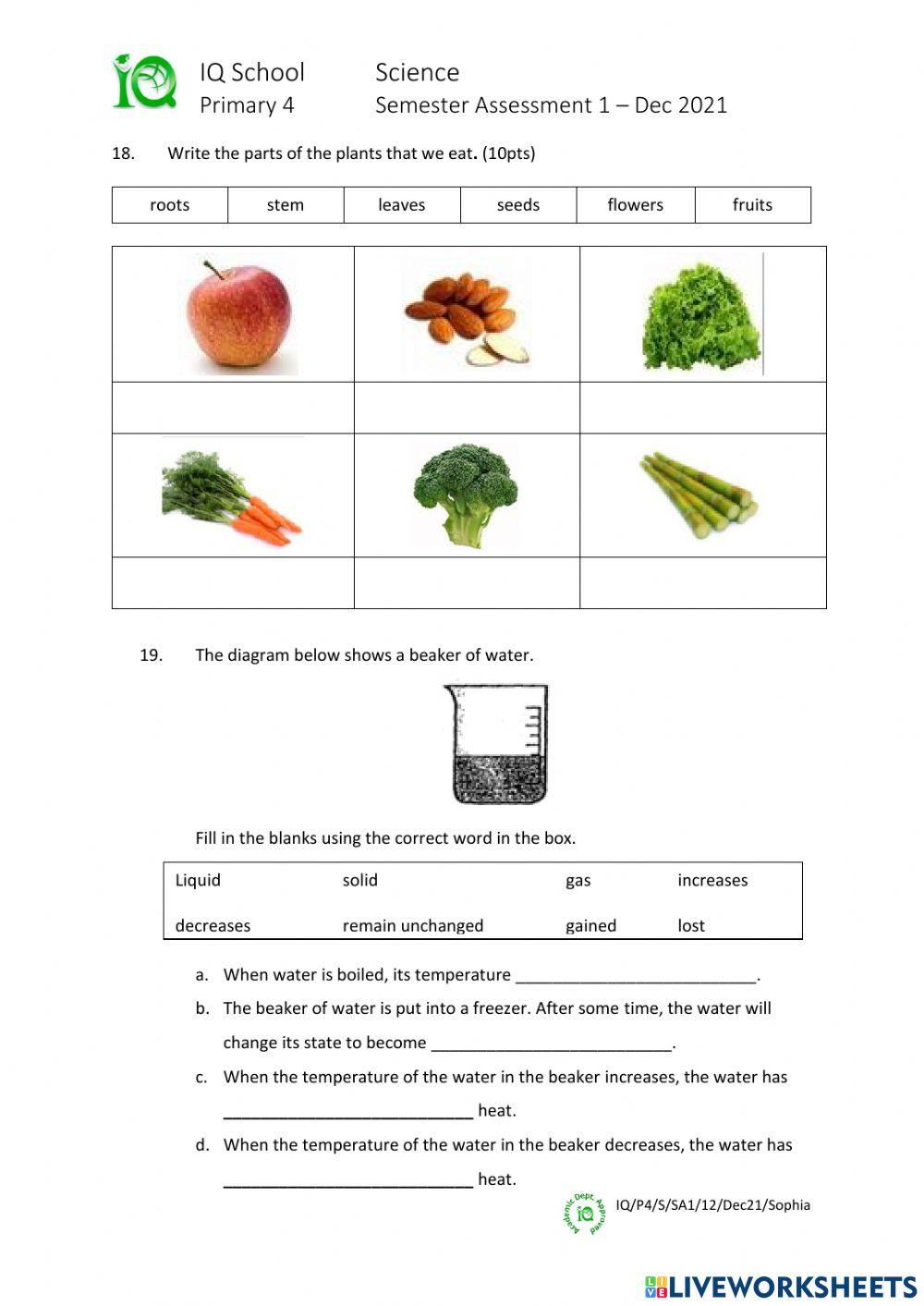 IQ-P4-S-SA1-Dec21-Sophia