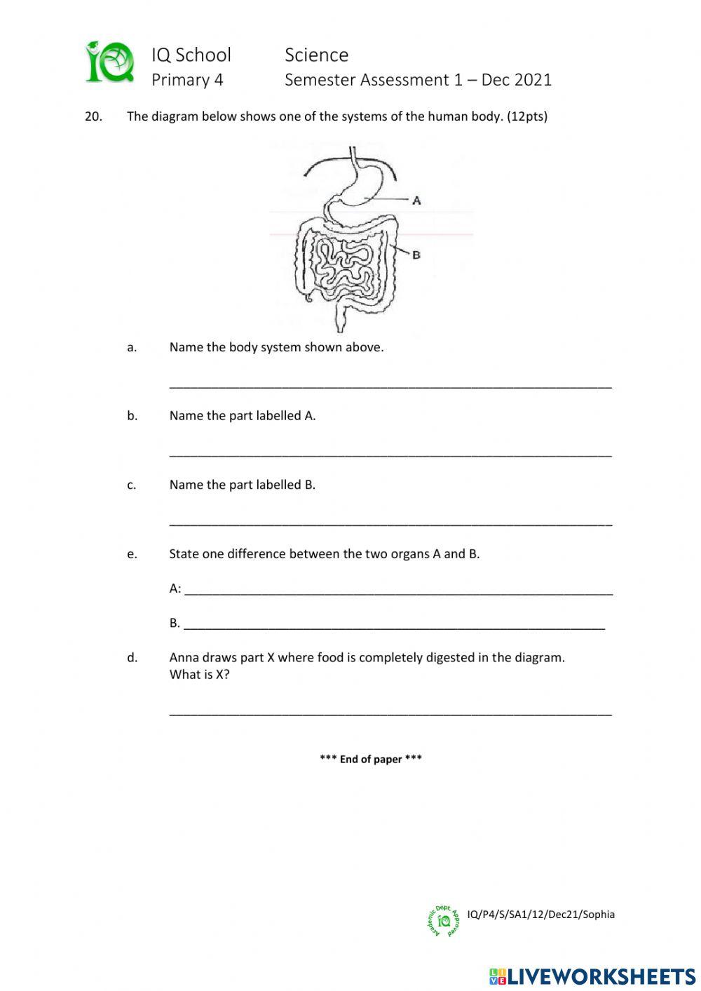 IQ-P4-S-SA1-Dec21-Sophia