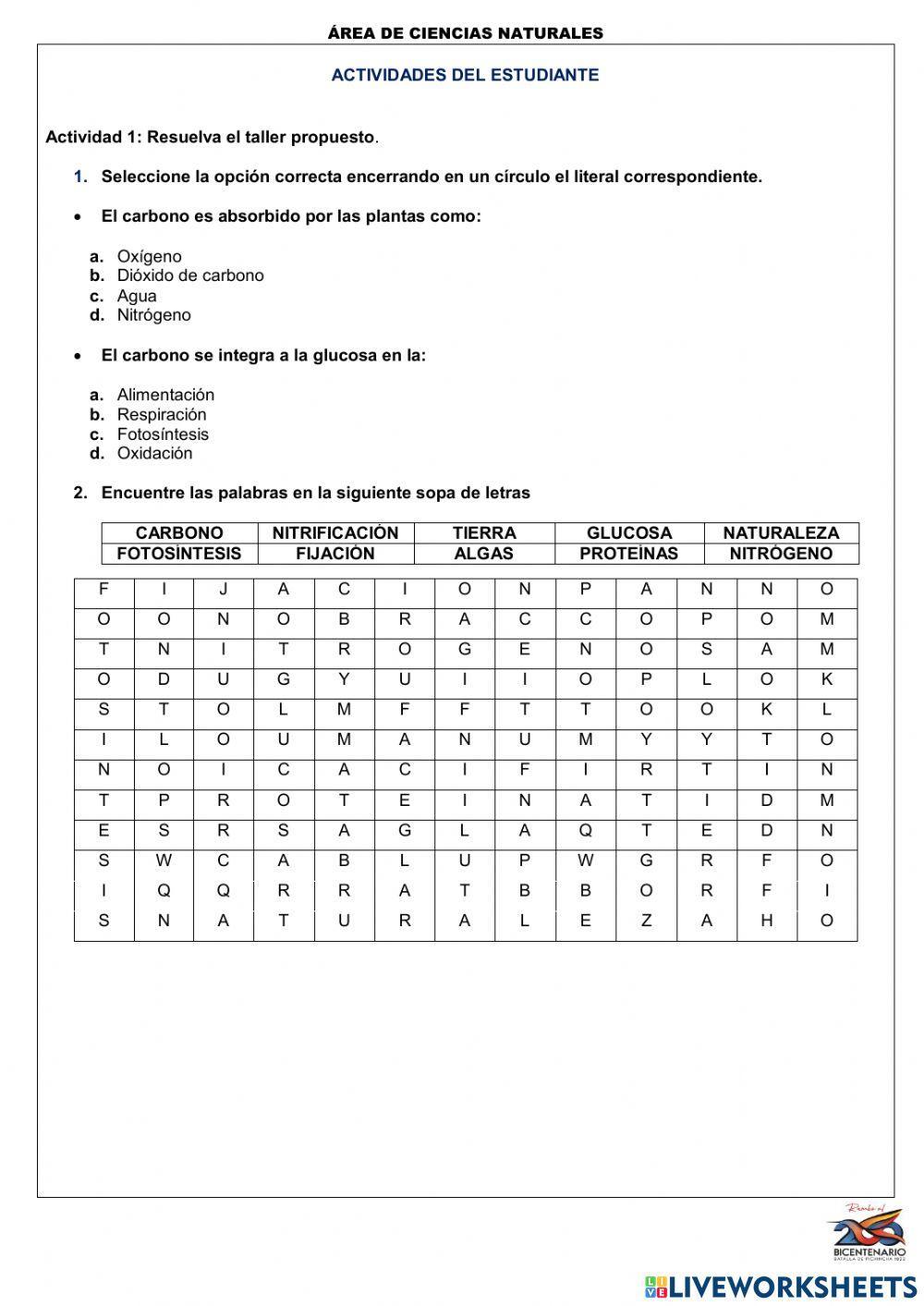 Ciclo del Carbono, Oxígeno y Nitrogeno