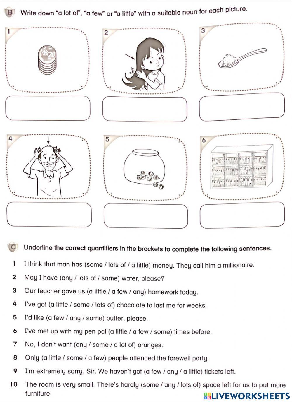 Quantifiers and Indefinite Pronouns