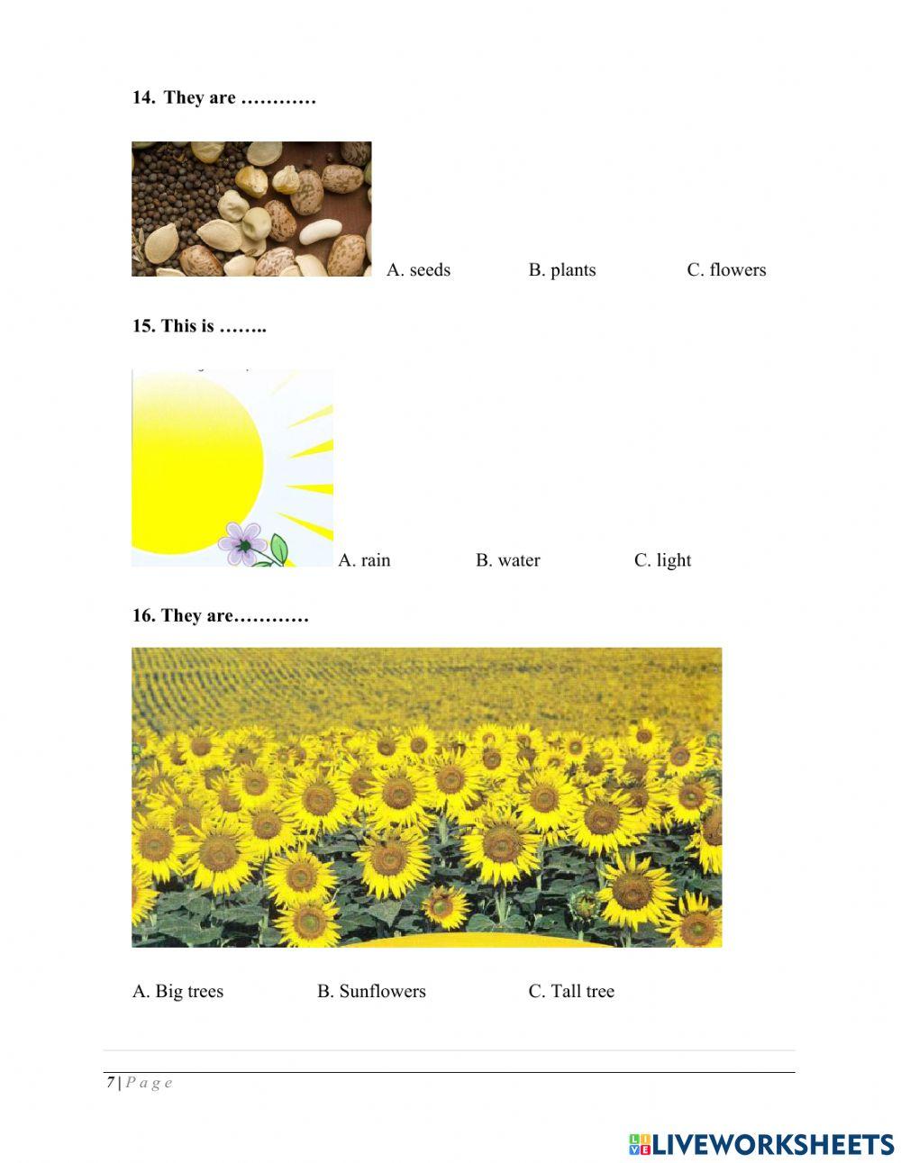 SCIENCE 1 - final test term 1