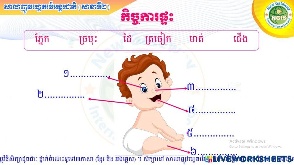 កិច្ចការផ្ទះ