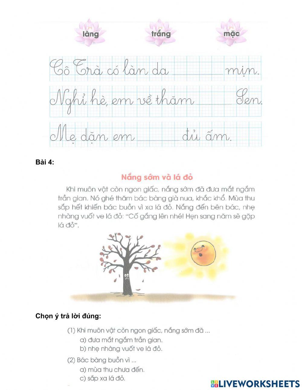 Phiếu ôn tập TV tuần 16