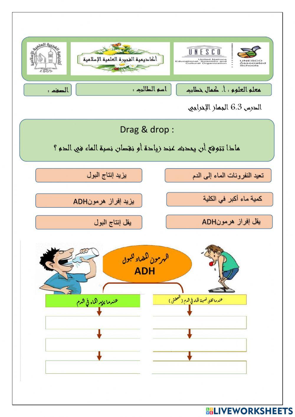 الجهاز الإخراجي