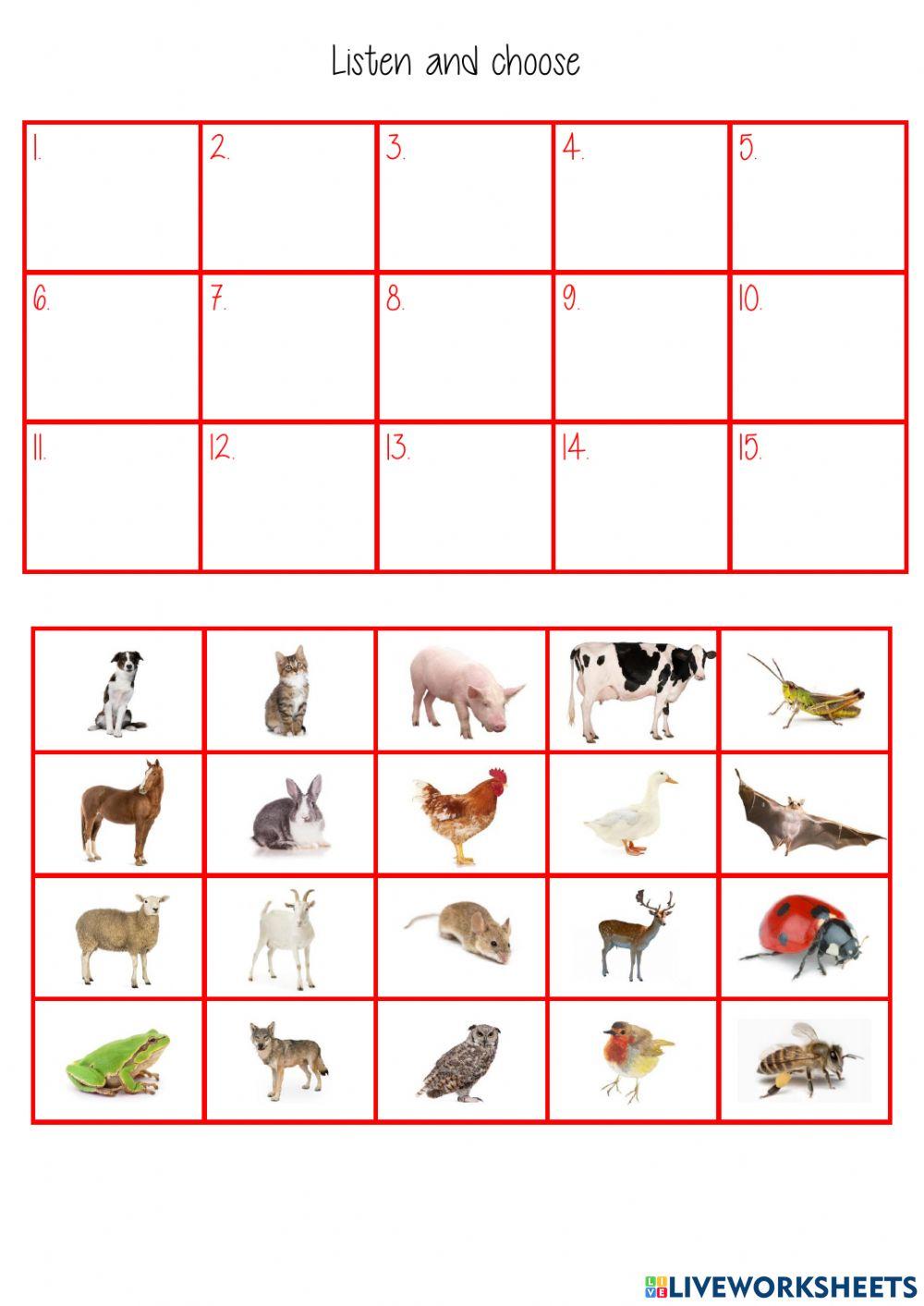 farm and forest dictation