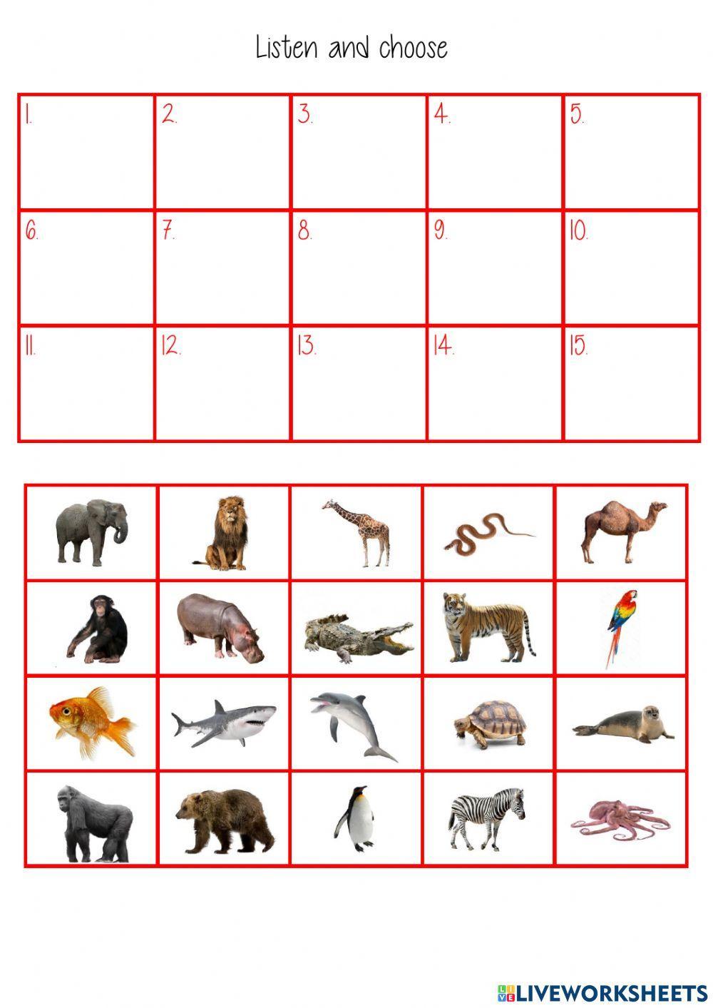 wild animals dictation