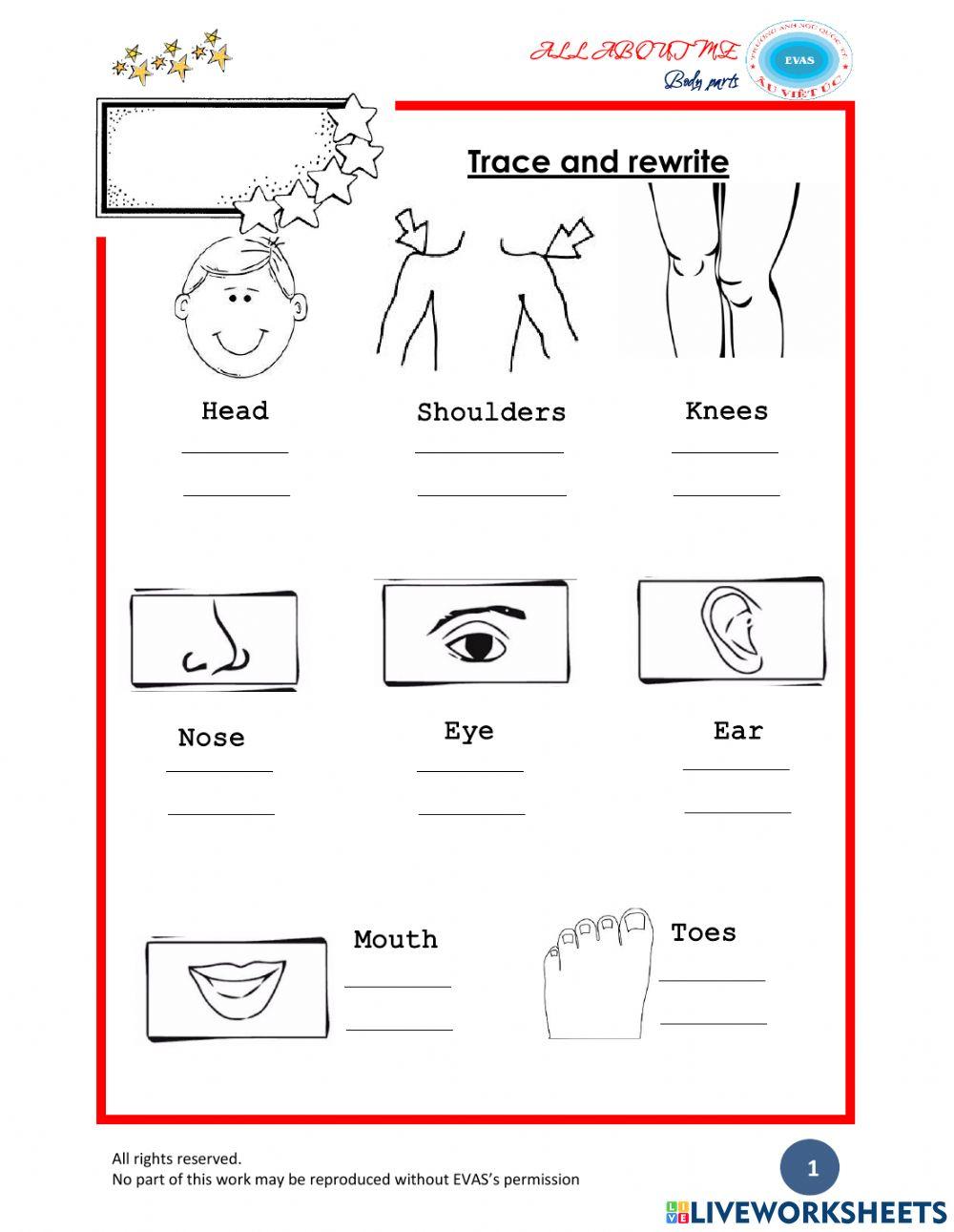 Body part superbstars lesson 1