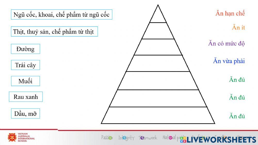 Tuần 17 - con người và sức khỏe