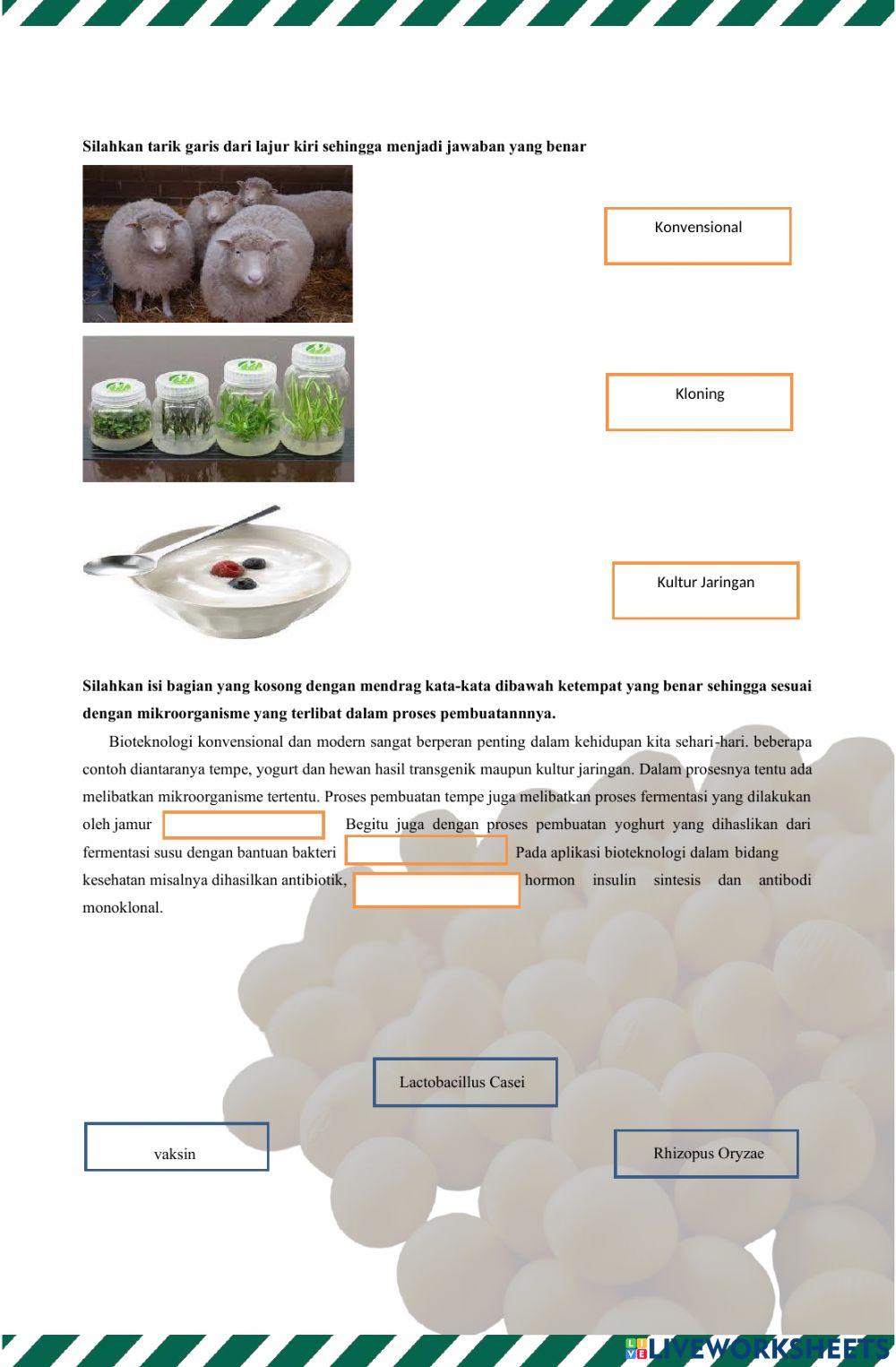 LKPD PENERAPAN BIOTEKNOLOGI