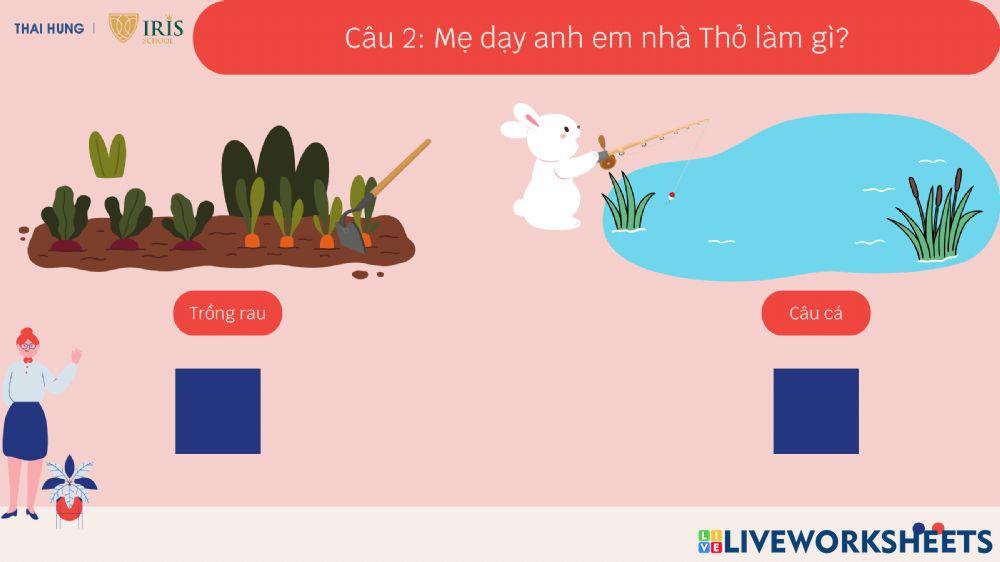 Truyện Cây rau của thỏ út