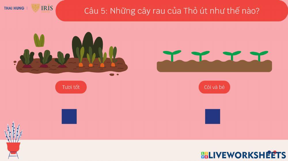 Truyện Cây rau của thỏ út
