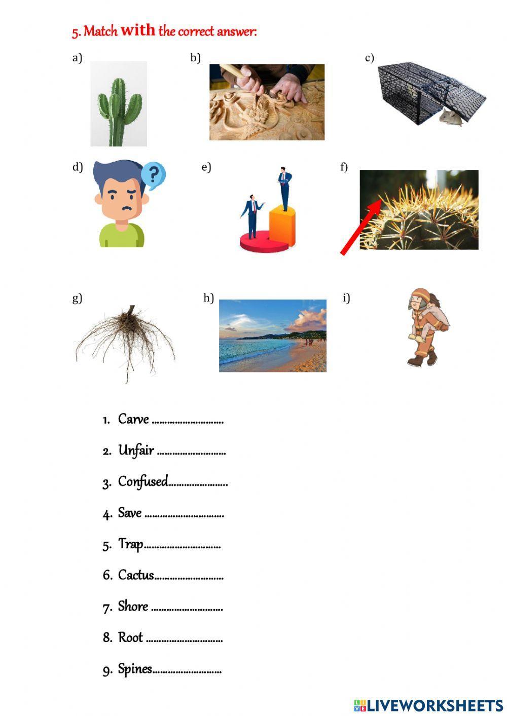 Review Unit 3 Global 3