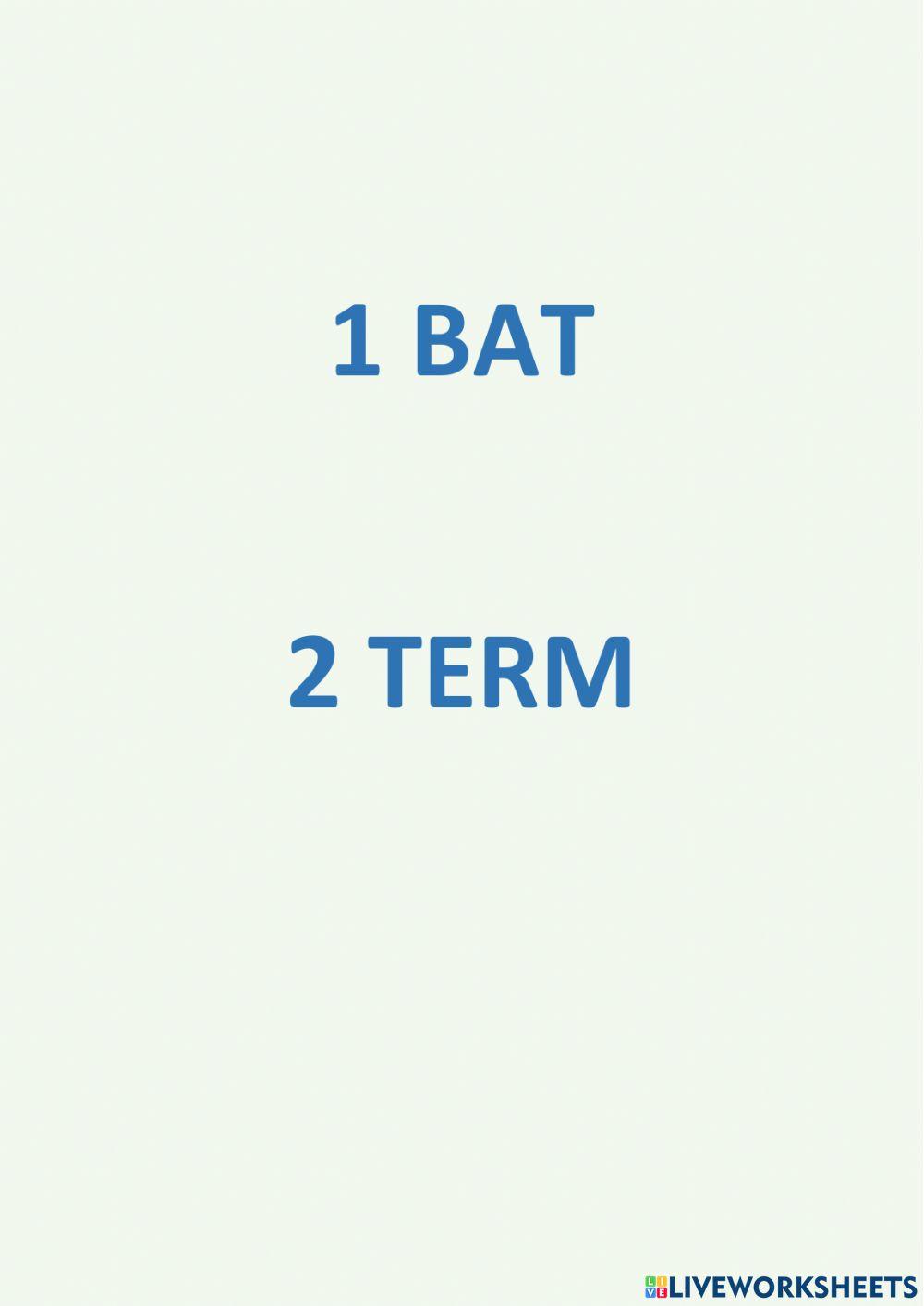 1 bat
