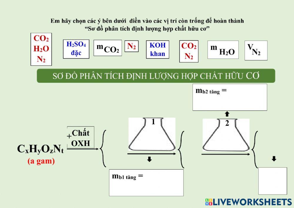 Phân tích định lượng