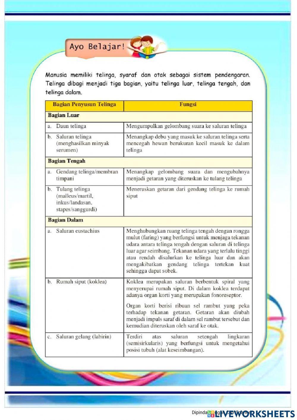 -Sistem Pendengaran-